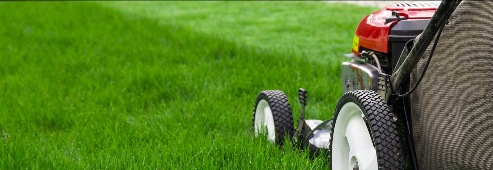 lawncare boise
