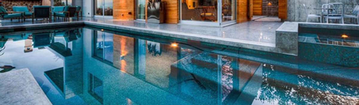 wellbots maytronics dolphin nautilus 99996323 robotic pool cleaner pool picture